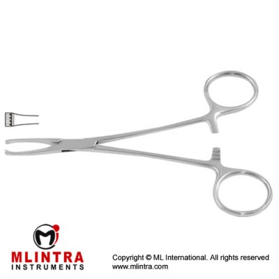 Jud-Allis Intestinal and Tissue Grasping Forceps 3 x 4 Teeth Stainless Steel, 15.5 cm - 6"